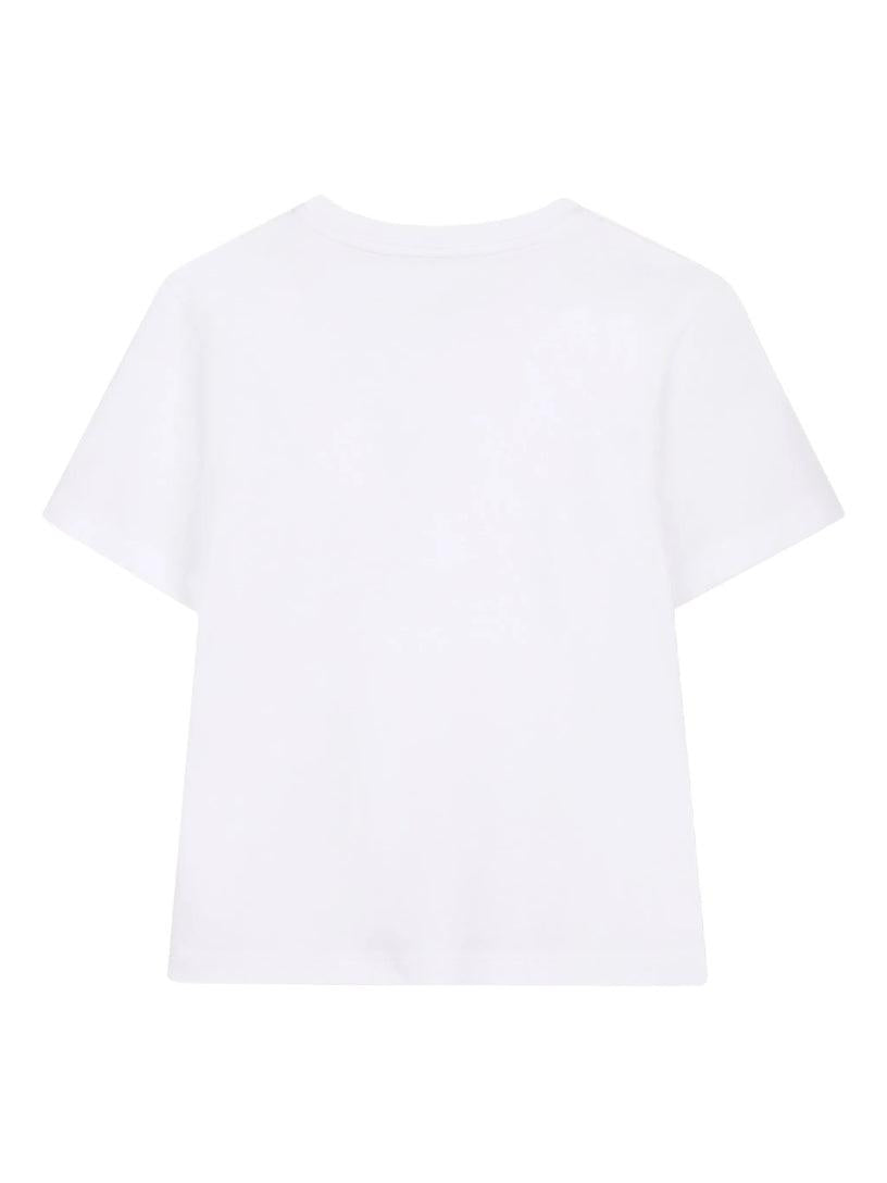 N30335/10P LANVIN