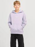 JACK JONES KIDS JORVESTERBRO SWEAT HOOD NOOS JNR