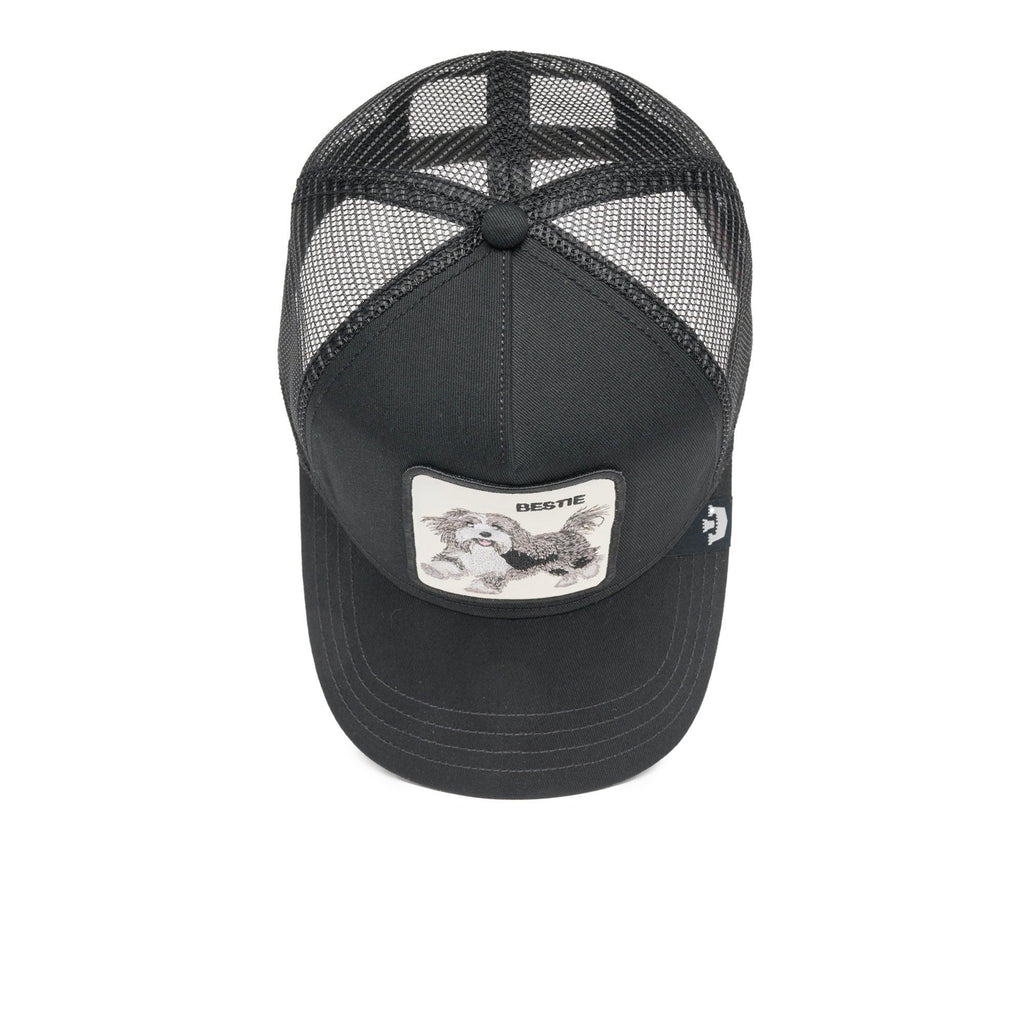 THE BESTIE DOG 101-1782/BLK-O/S GOORIN BROS