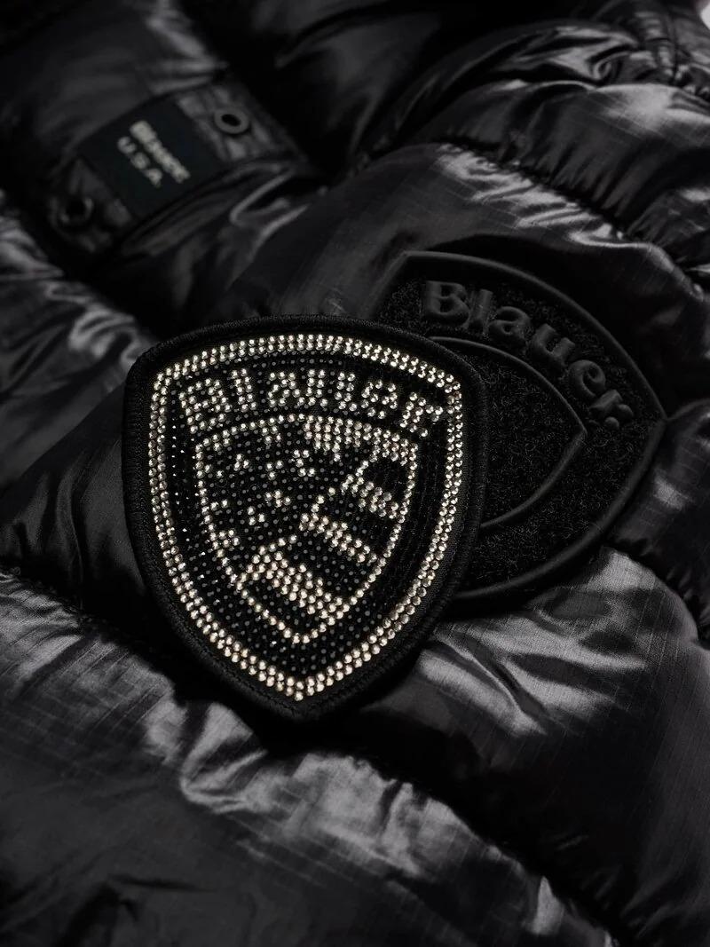 25WBLGC02391 006648/999EI BLAUER