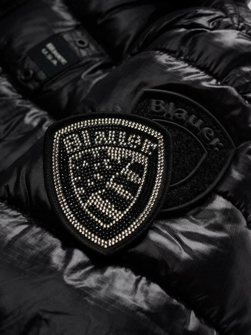 25WBLGC02391 006648/999EI BLAUER