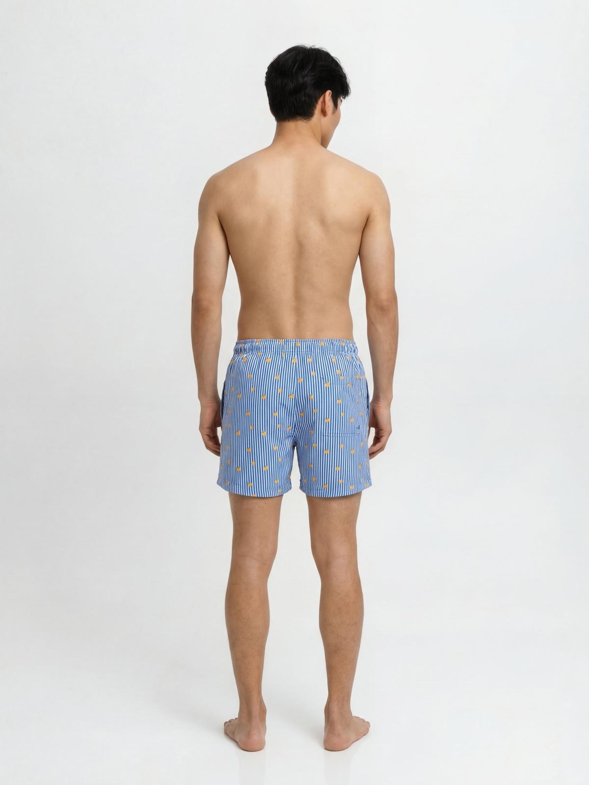 JPSTMAUI BREEZE MINI STRIPE SWIM SRT SN 