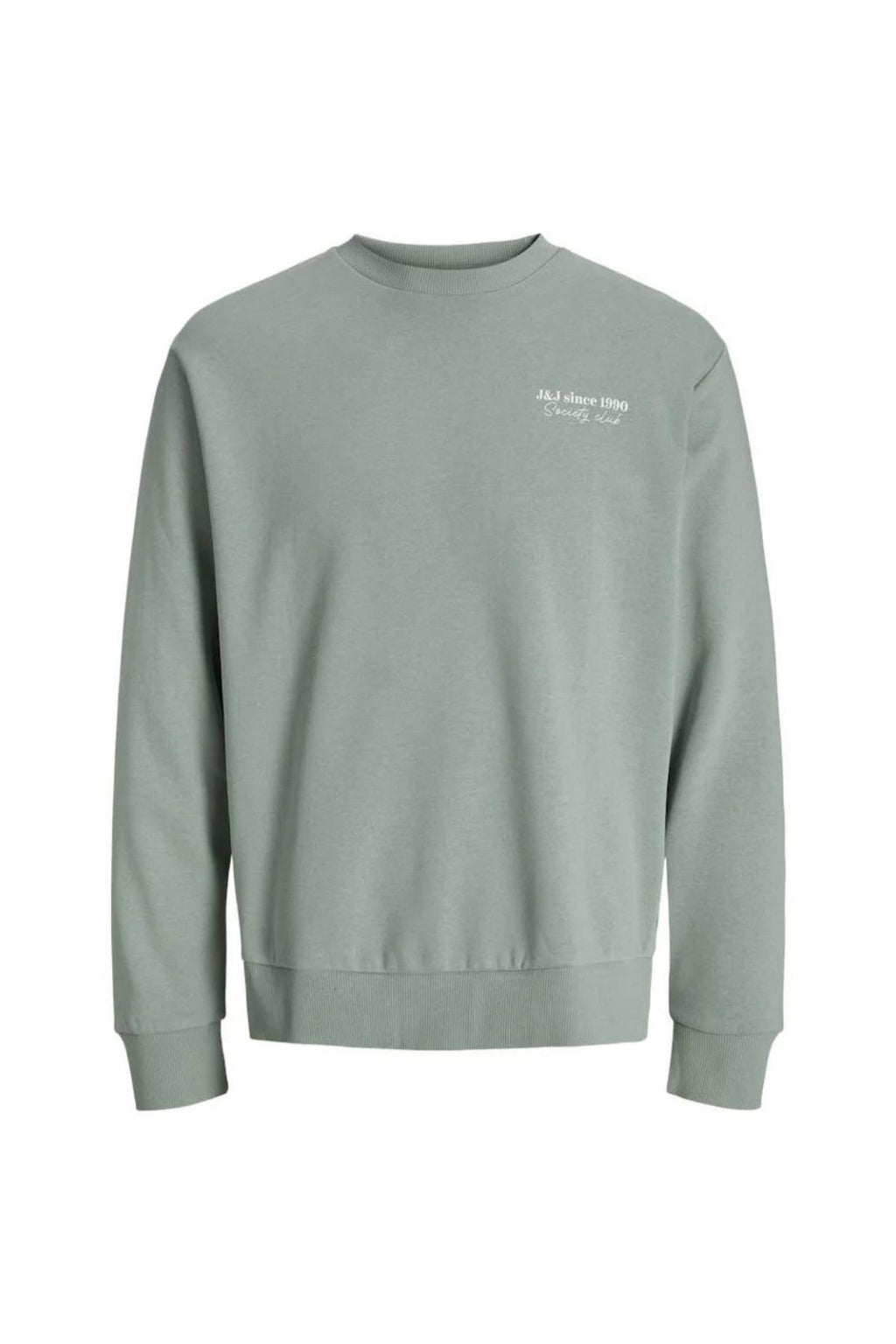 12280711/Iceberg Green JACK AND JONES