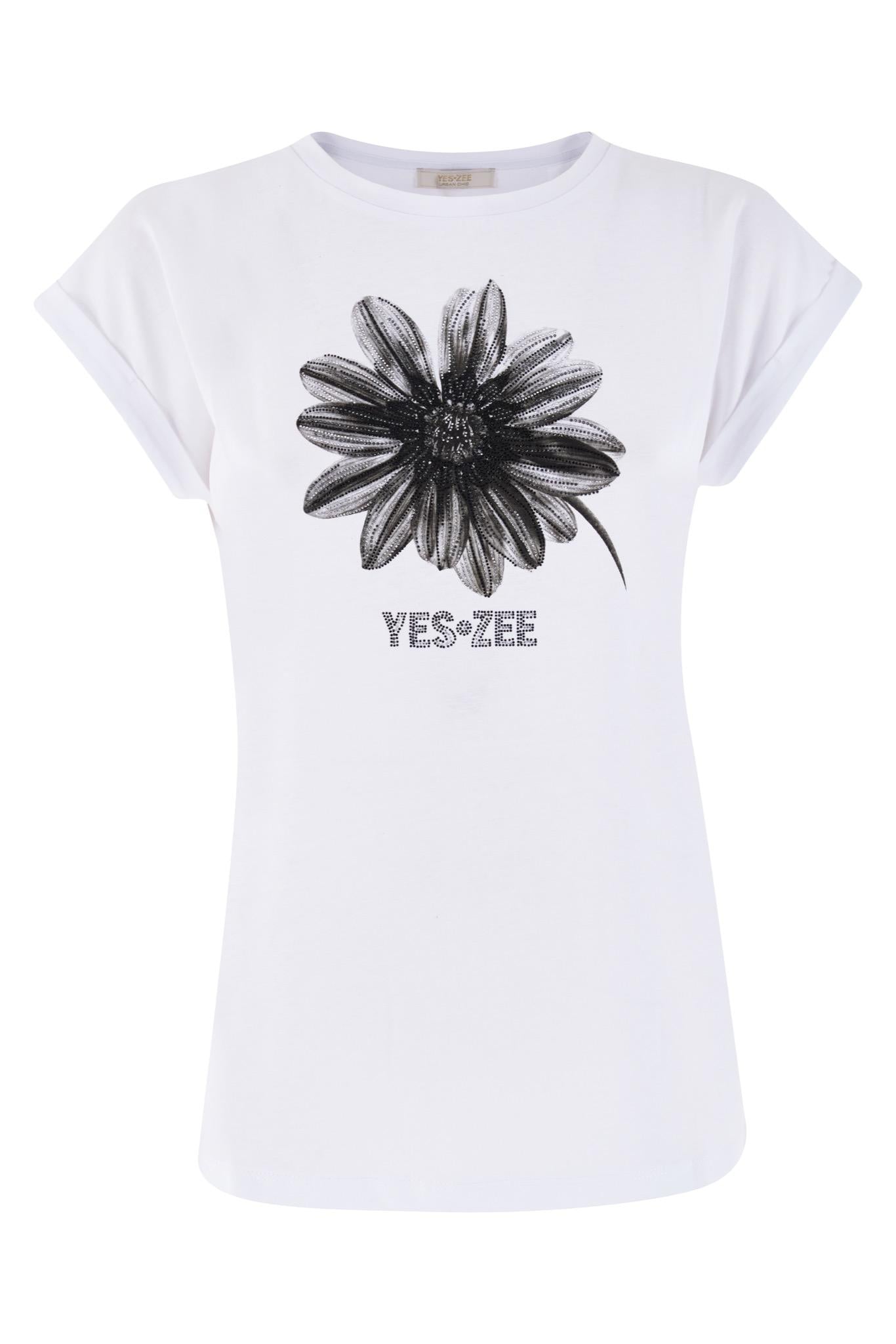 T239 JXJJ/0101 YES ZEE