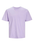 JACK AND JONES JJEORGANIC BASIC TEE SS O-NECK NOOS