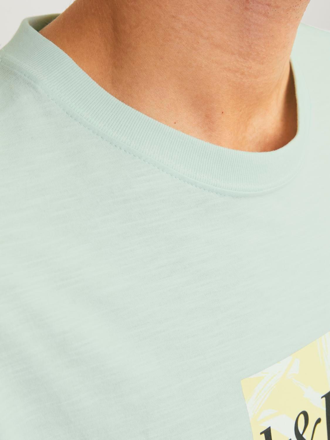 12250436/Skylight JACK AND JONES