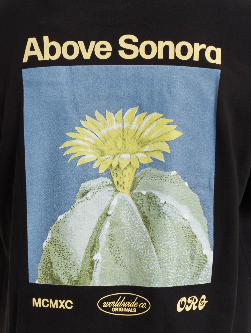 12252956/Black JACK AND JONES