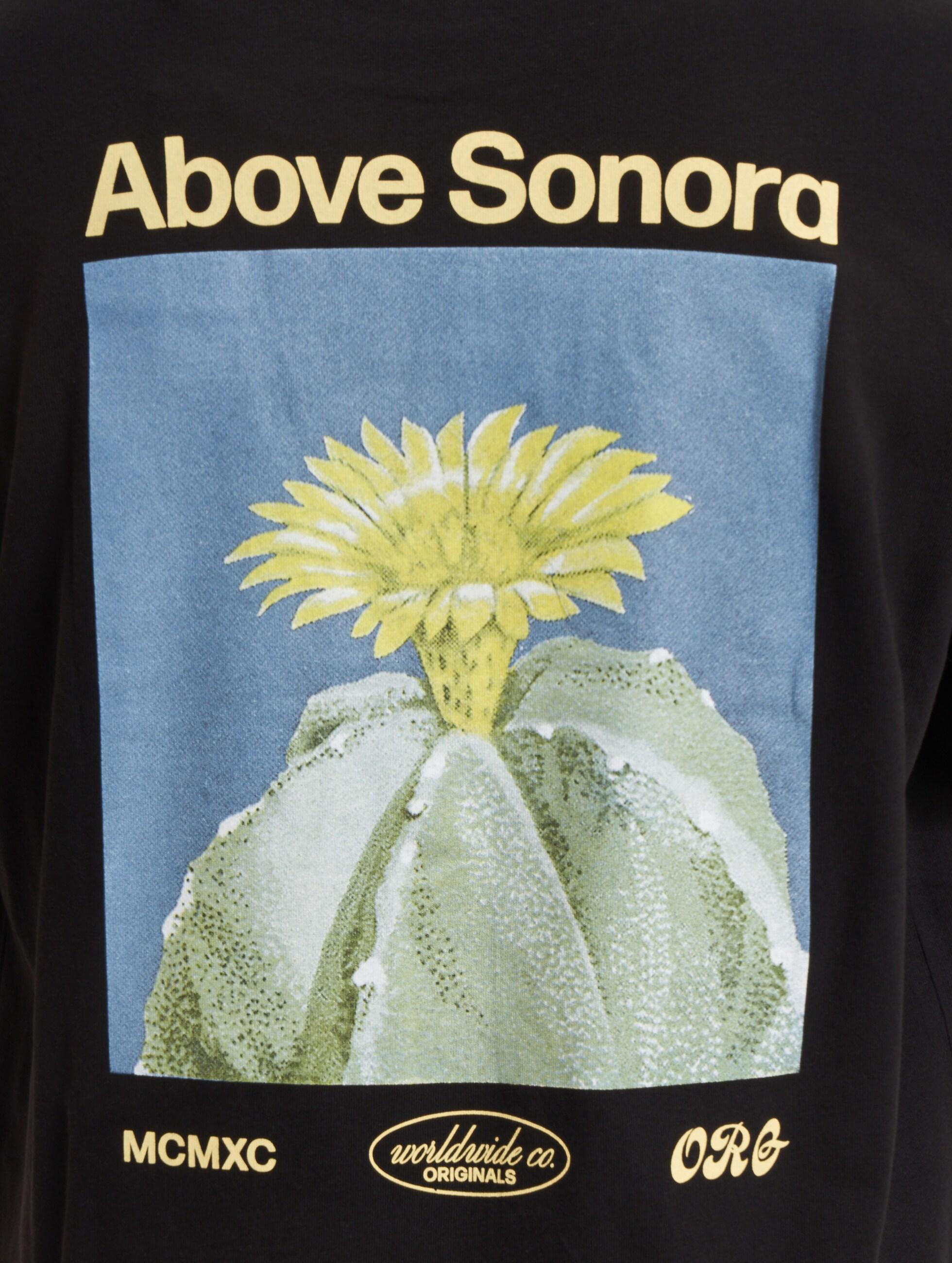 12252956/Black JACK AND JONES