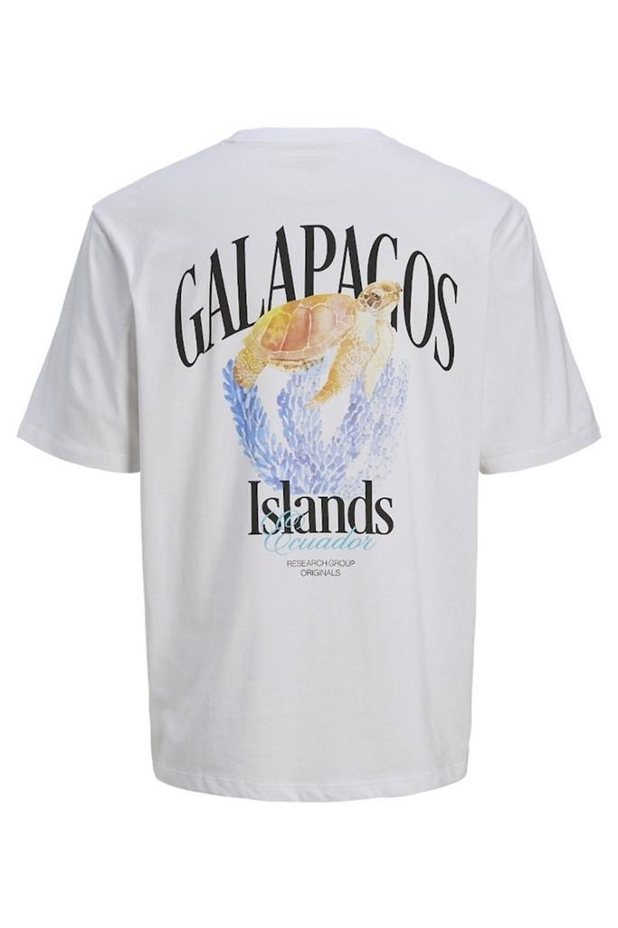 12269986/Bright White JACK AND JONES