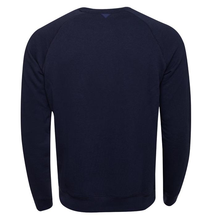 Z4YQ16KAIJ1/DPM GUESS