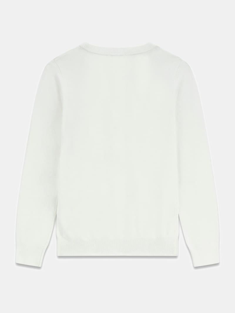 J6RR09Z2NQ2/G011 GUESS