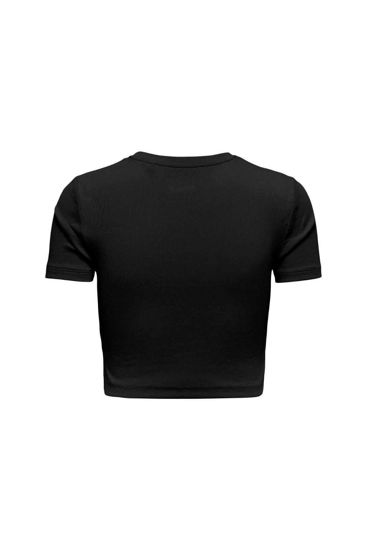 15311891/Black ONLY