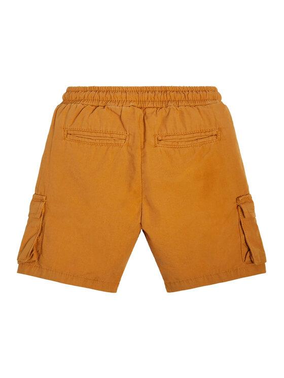 CARGO SHORTS_CORE N2RD01D3XN0/G1FS GUESS