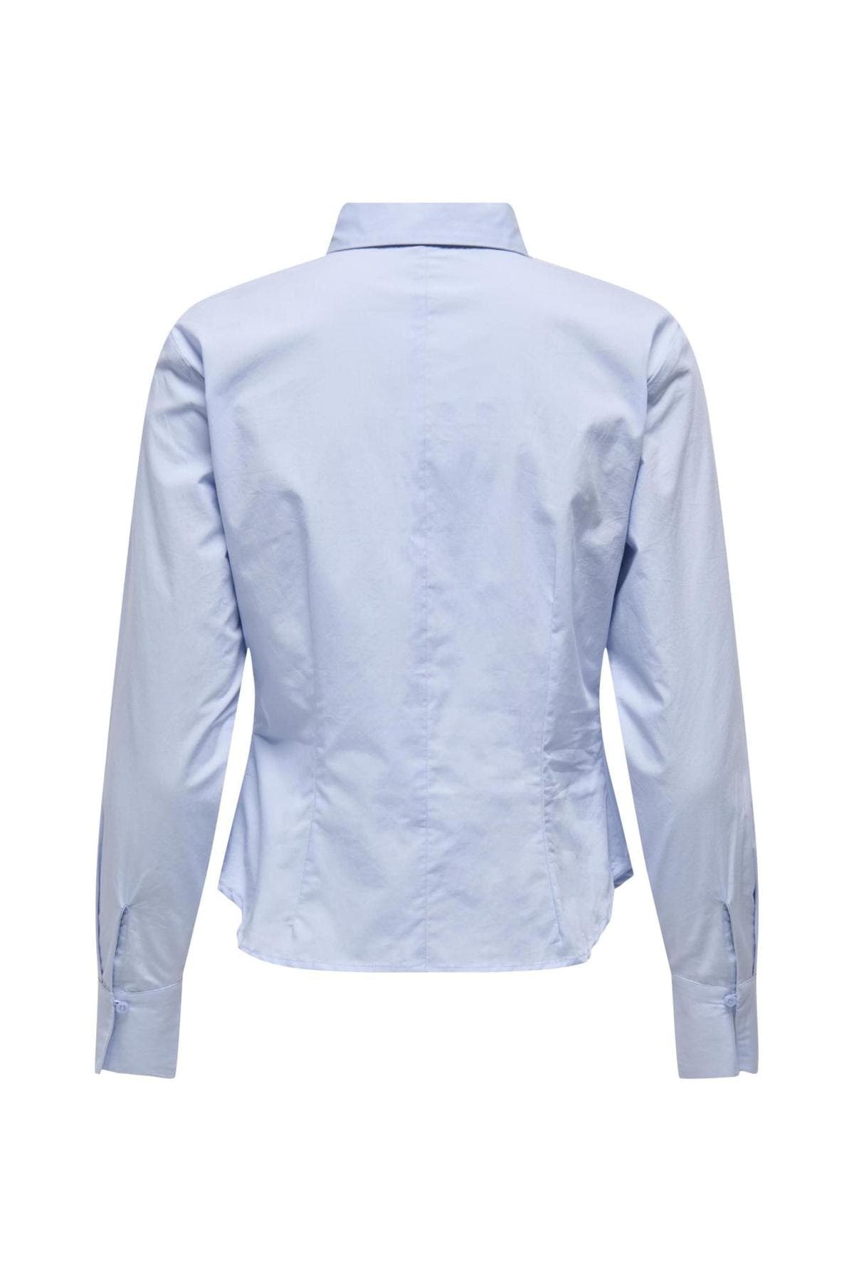 15366704/Brunnera Blue ONLY
