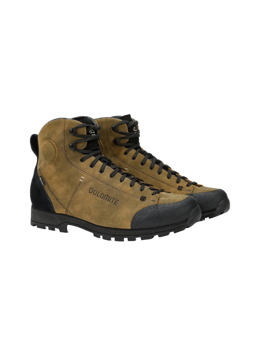 Shoe 54 High Dust GTX 