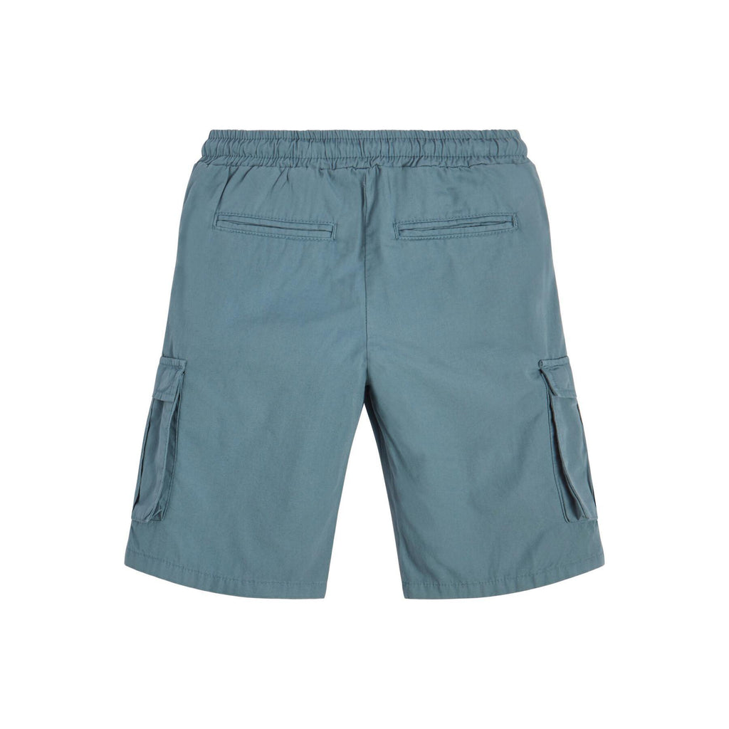 CARGO SHORTS_CORE L2RD01D3XN0/G7DV GUESS