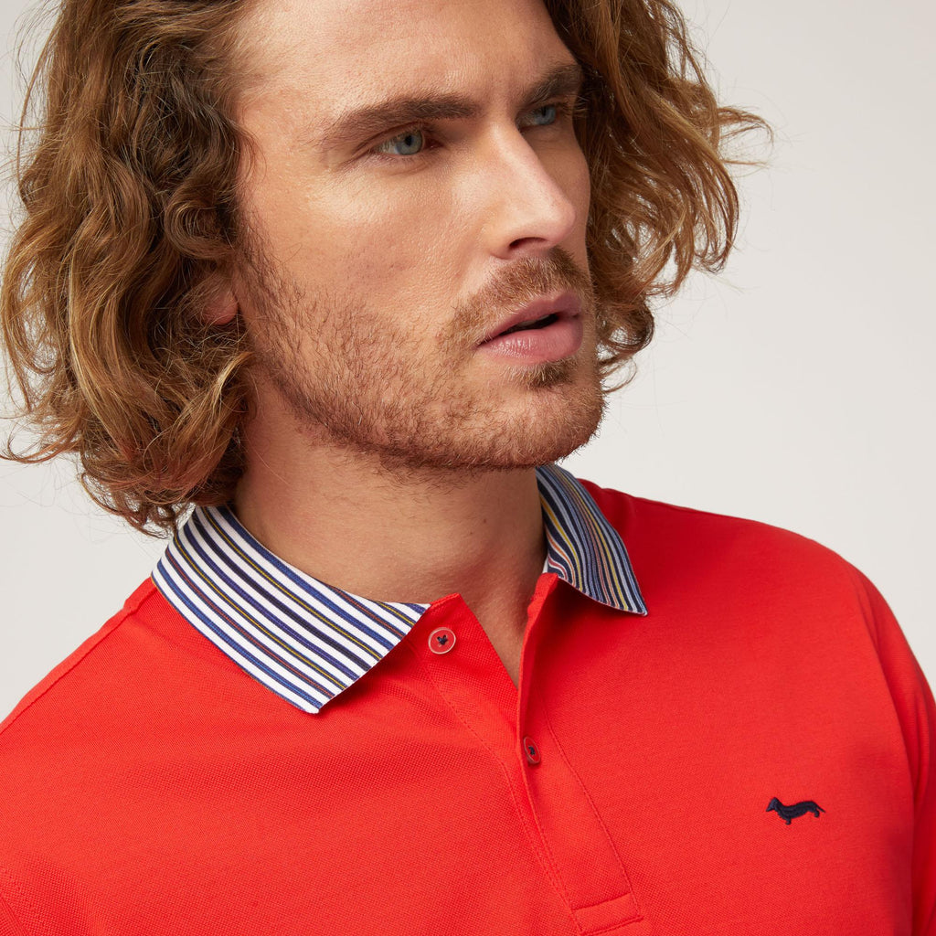 POLO UOMO COTONE 