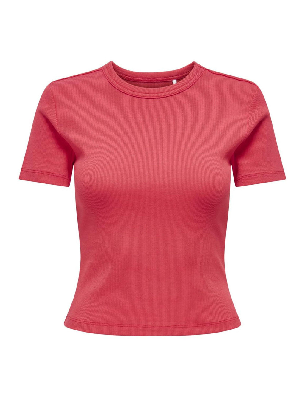 15339774/Tomato Puree Casual ONLY