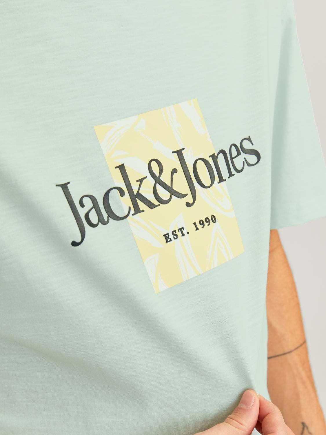 12250436/Skylight JACK AND JONES