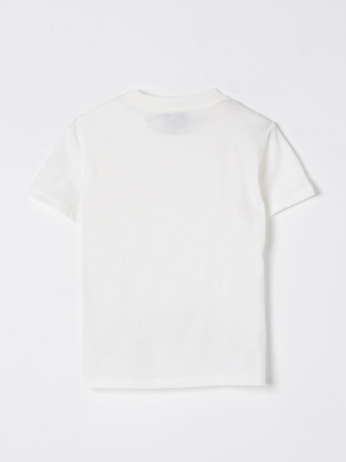 FW8P01 Z1173/178BL FAY