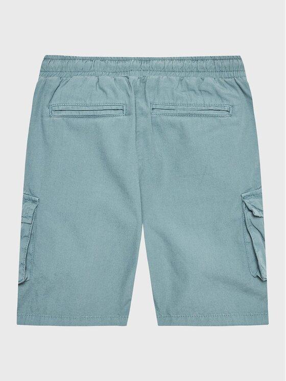 CARGO SHORTS_CORE N2RD01D3XN0/G7DV GUESS