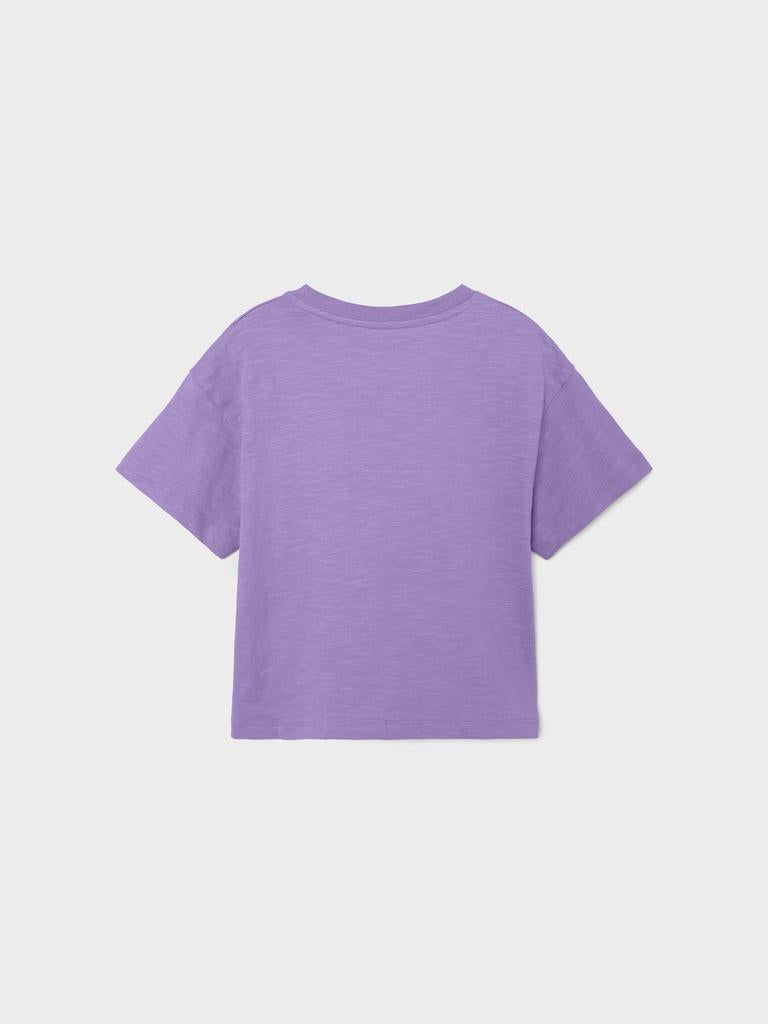 13212160/Sand Verbena NAME.IT