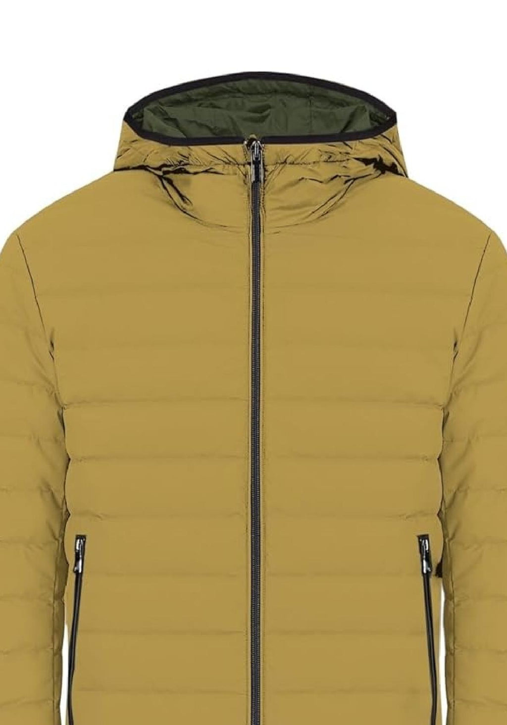 MK24001/SENAPE MARKUP