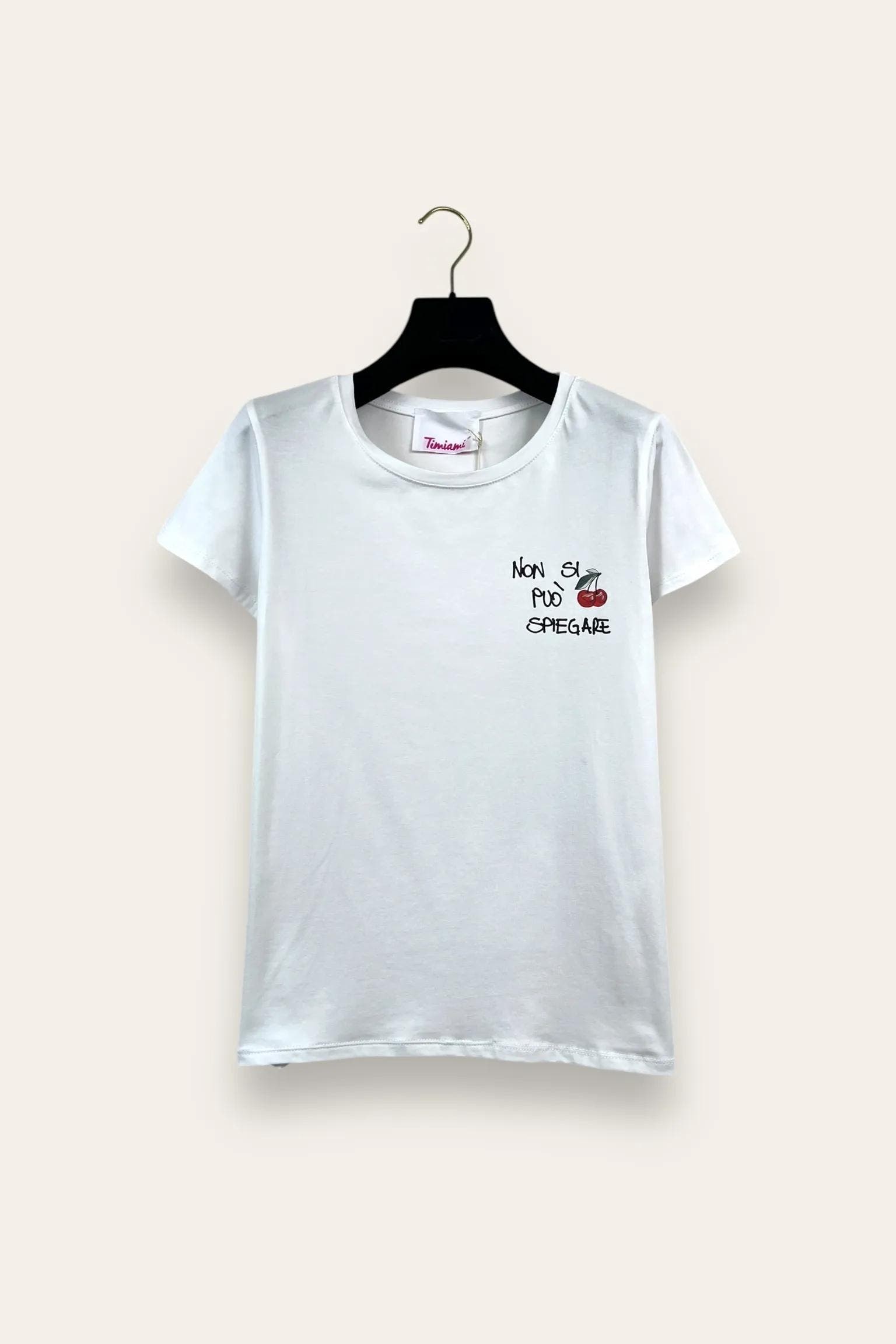 T-shirt con scritta "non si può spiegare" 