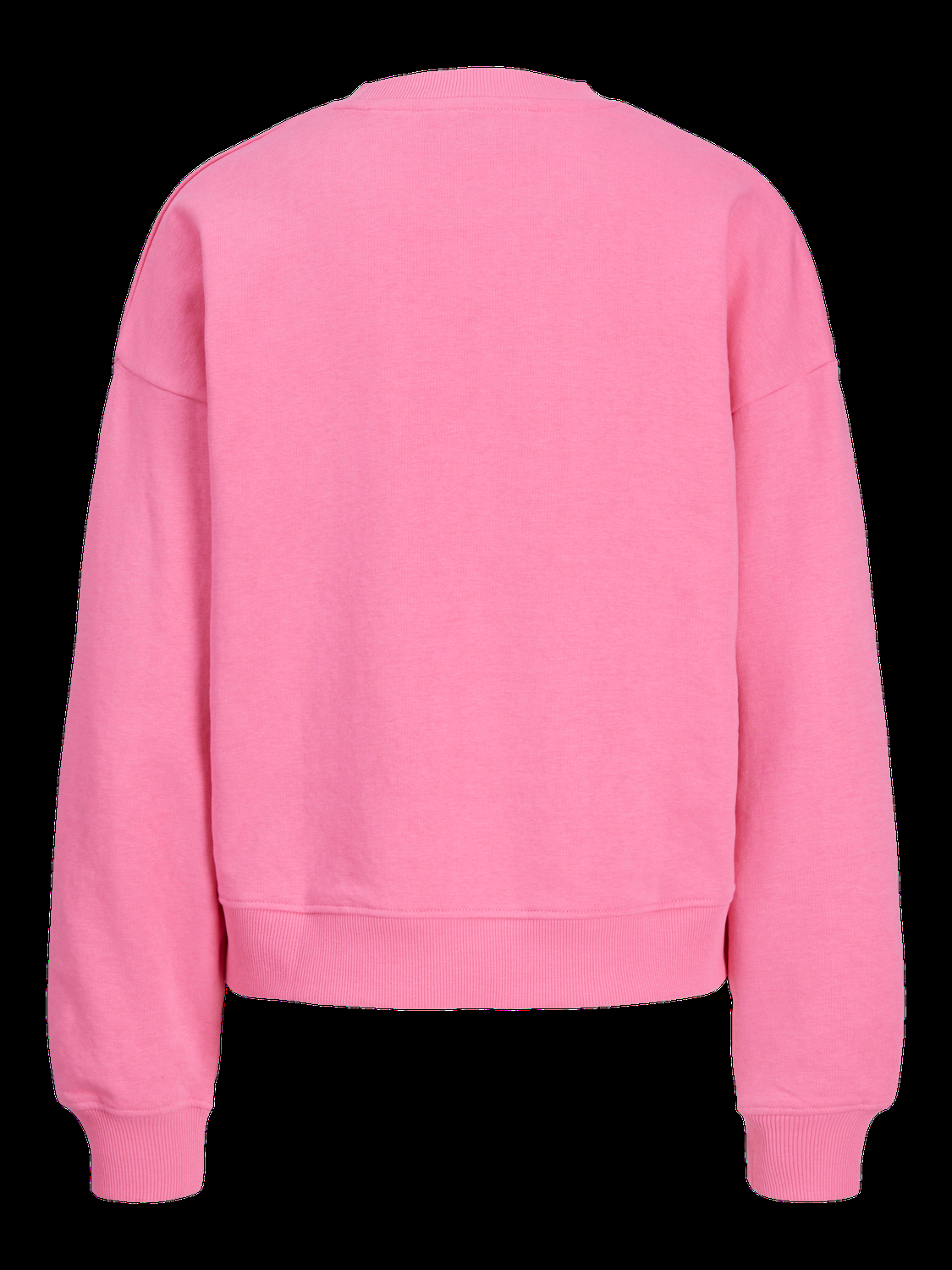 12248648/Morning Glory JJXX