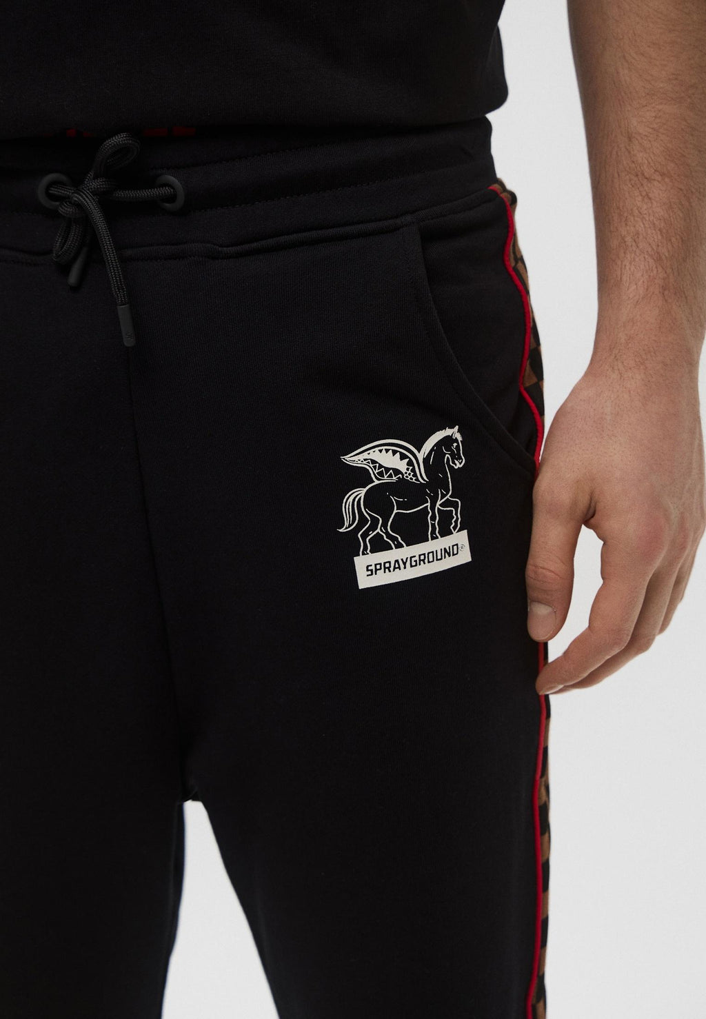 TRIPLE PANTS BROWN SP692EBRWN/CHECK SPRAYGROUND