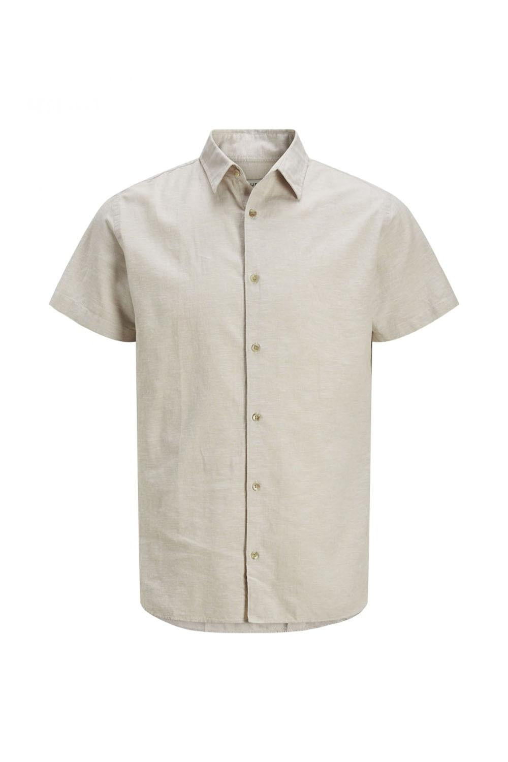 12270668/Moonbeam JJ REBEL