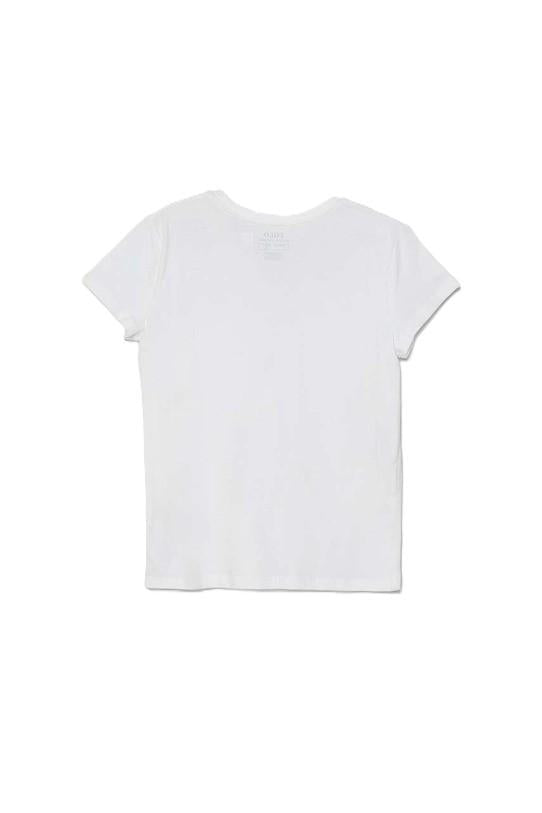 313833549/064 RALPH LAUREN