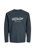 JACK JONES KIDS JORVESTERBRO NEWTON BRNDG TEE LS BF MNI