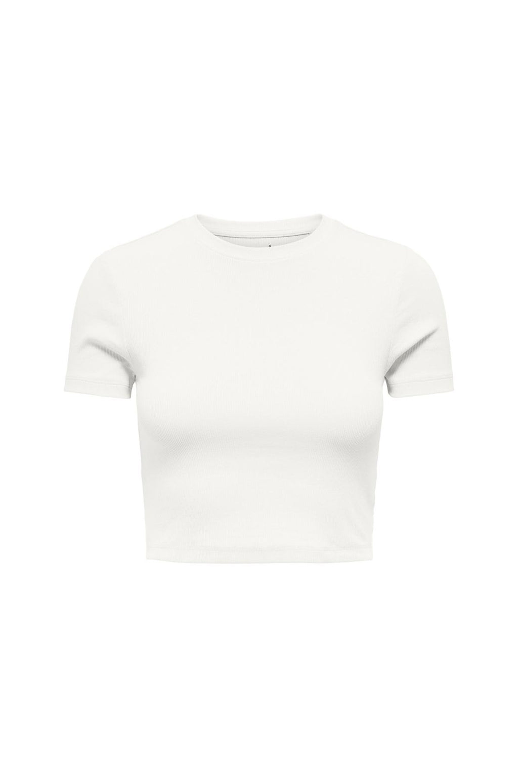 15311891/Cloud Dancer ONLY