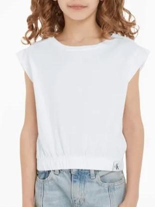 MOVEMENT LABEL T-SHIRT IG0IG01942/YAF CALVIN KLEIN JEANS