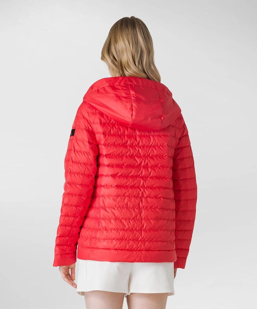 CALVUS MQE 02 PED4634 01181785/0049 PEUTEREY