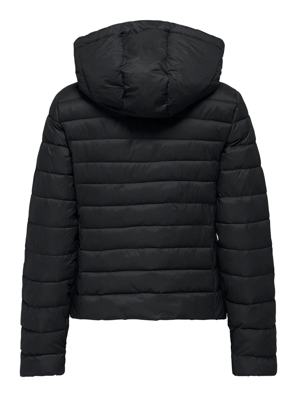 15352020/Black ONLY