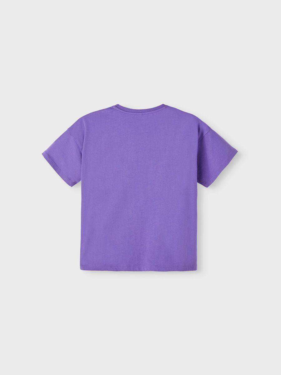 13212167/Purple Corallites NAME.IT