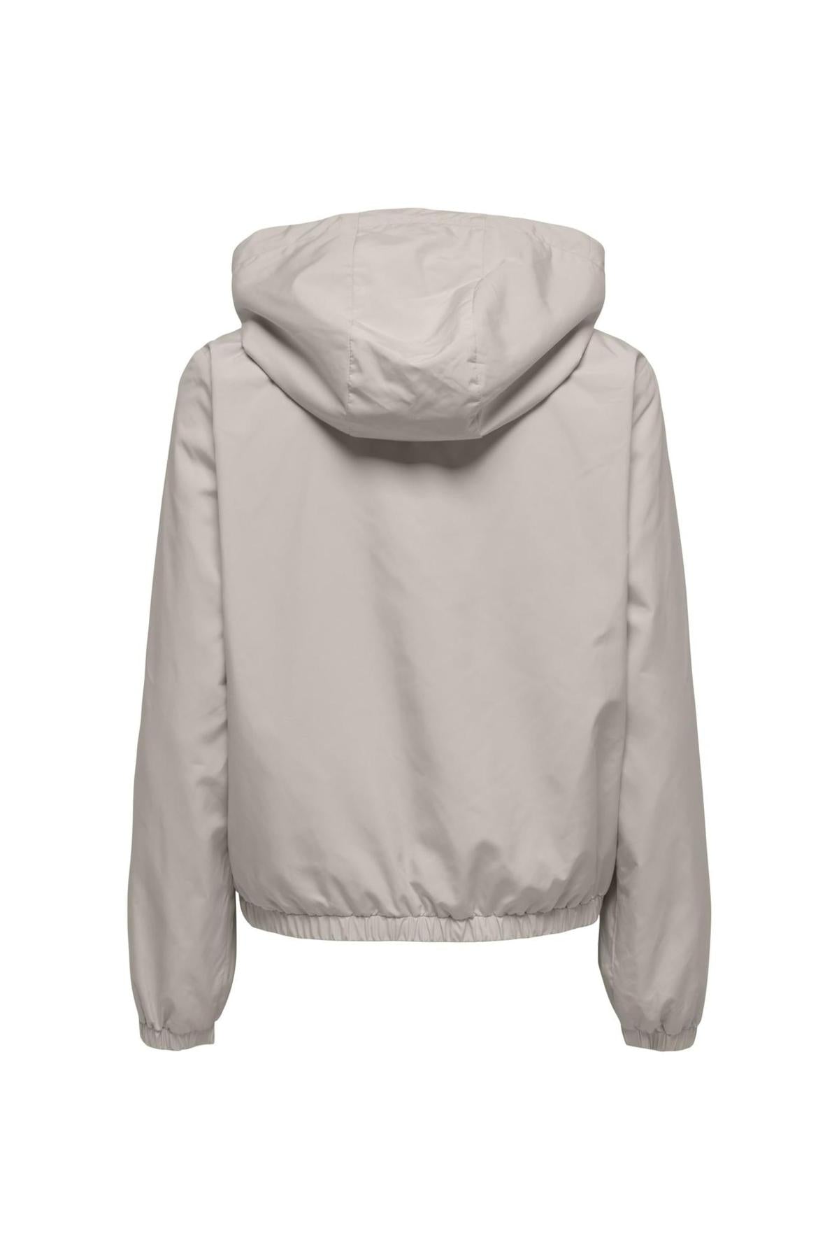 15319747/Pumice Stone CONTRAST ONLY