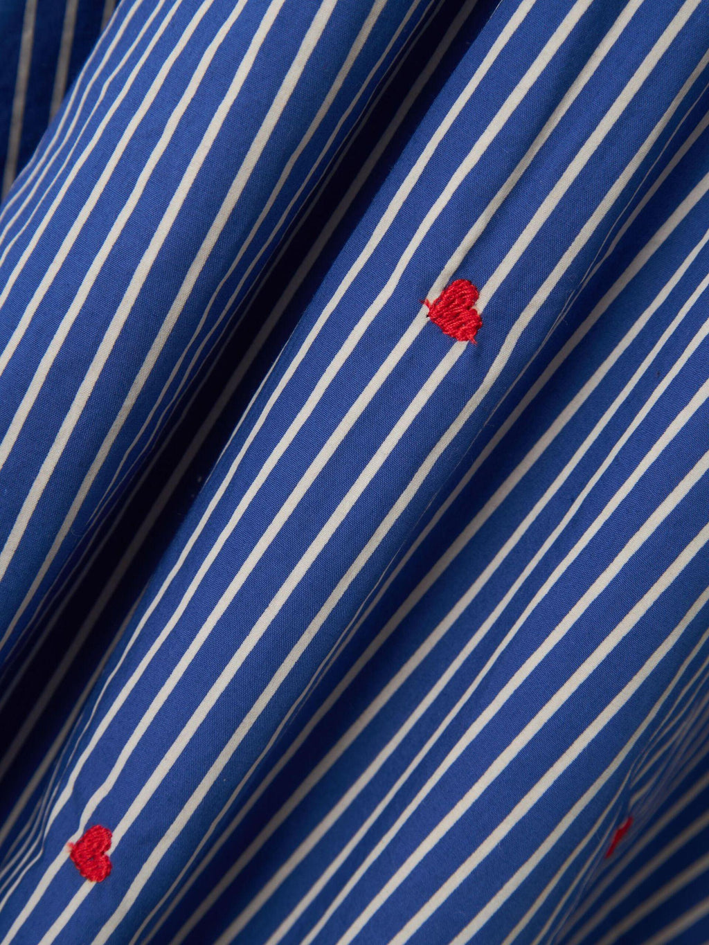 13227402/Clematis Blue NAME.IT