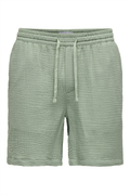 22029215/Iceberg Green ONLY&SONS