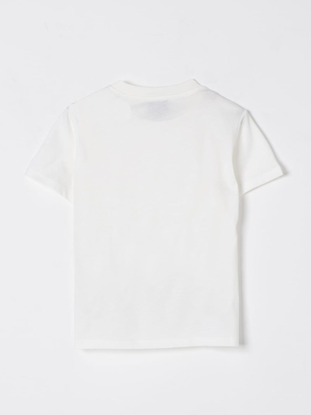 FW8P01 Z1173/178BL FAY