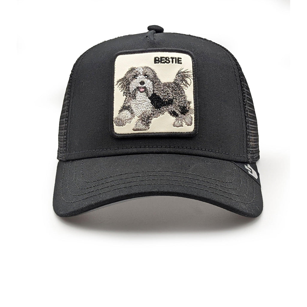 THE BESTIE DOG 101-1782/BLK-O/S GOORIN BROS