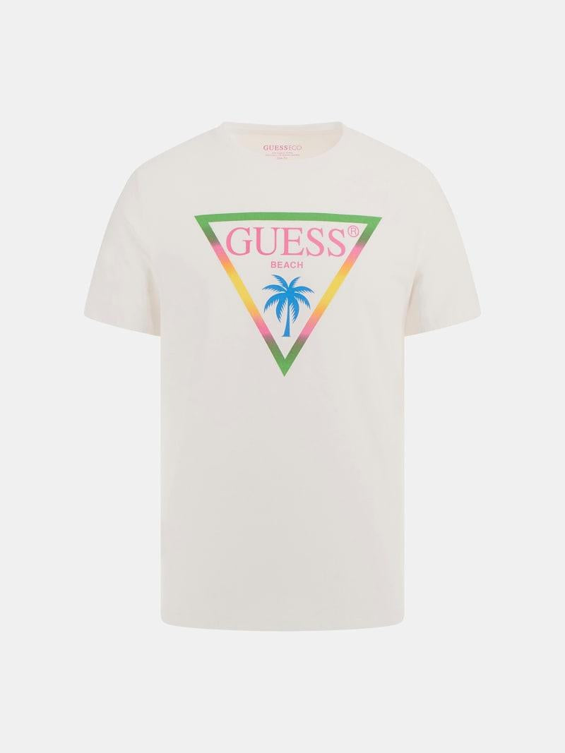 SS CN TRIANGLE PALM 