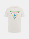 SS CN TRIANGLE PALM 