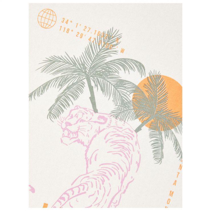 13213315/Jet Stream NAME.IT