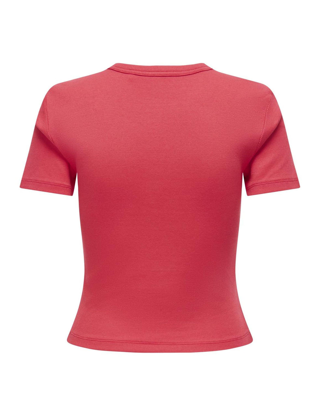 15339774/Tomato Puree Casual ONLY