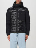 BLAUER ALBERT