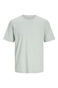 JACK AND JONES JJEORGANIC BASIC TEE SS O-NECK NOOS