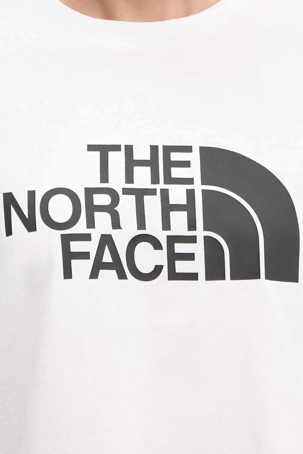 T SHIRT NF0A8A6H/FN41 THE NORTH FACE